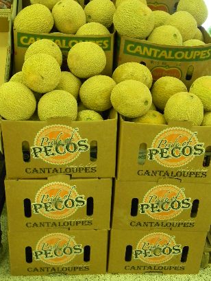 Cantaloupes, Pride of Pecos Texas