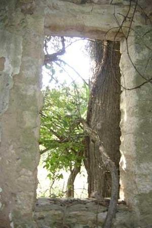 View from inside the old general store building ruin, Lime City Texas