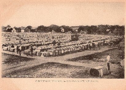 Lockhart TX Cotton Yard ca 1910