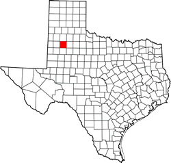 Lubbock County TX