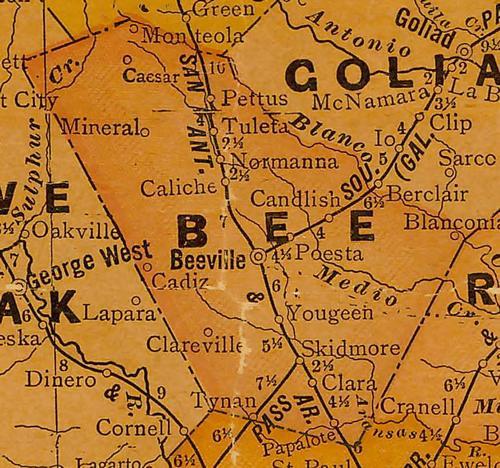 TX Bee County 1920s Map