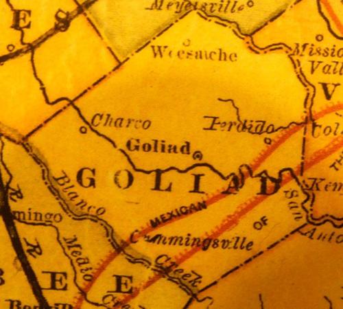 TX Goliad County 1858 Map