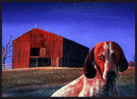Zip the dog, and the barn