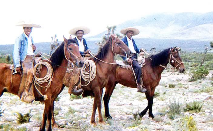 Vaquero First Texas Cowboy 