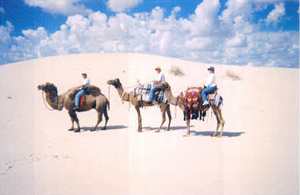 Camel riders in Monahans Sandhill State Park