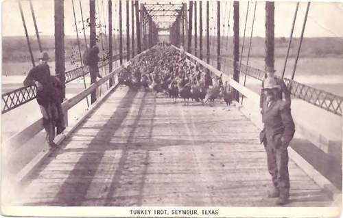 Seymour TX Bridge Turkey Trot
