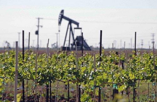 Sundown, Texas - Grape vines and oil pump in Hockley County