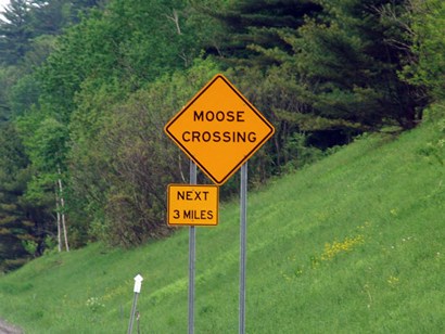 Vermont - Moose Crossing sign on I-89